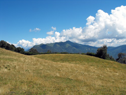 Pian d'Erba (1150 m) - Brienno | Hiking from Brienno to Monte Comana