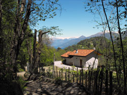 Rovenza - Brogno (645 m) Path n.1 | Excursion from Bellagio to Monte Nuvolone