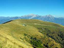 Alpe di Terrabiotta (1430 m) | Hiking a loop around Monte San Primo