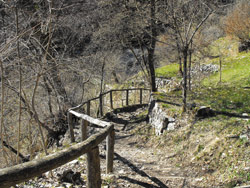 Valle della Camoggia (810 m) - Colonno | Circular hike from Pigra to Monte Costone