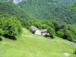 Era di Sopra (1030 m) | From Olcio to Zucco di Sileggio