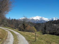 Ridge of the Lariano Triangle - 2nd Stage | Rovenza (725 m.)
