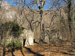 Sentiero del Viandante - 2nd Stage Low | Ruins of Roslina (698 m.)