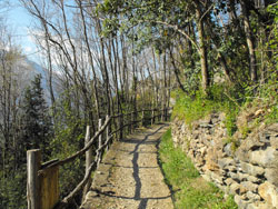 Sentiero del Viandante - 3rd Stage