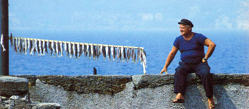 Drying twaite shad