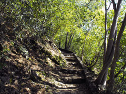 Baradello Castle - Spina Verde Park of Como