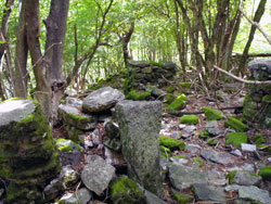 The ruins of Pra de la Curt (985 m) - Brienno | Hiking from Brienno to Monte Comana