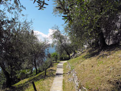 Vezio Castle - Varenna