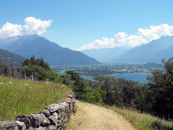 Trezzone (390 m) | Hike from Gravedona to Gera Lario