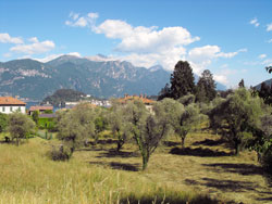 Griante and Cadenabbia | Center of Lake Como