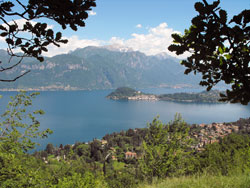 Griante and Cadenabbia | Center of Lake Como