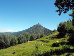 Alpe di Pratolungo (1025 m) | Hiking a loop from Dervio to Alpe di Camaggiore