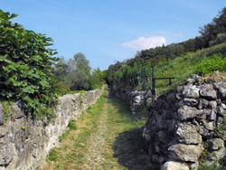 Via del Viandante (260 m) - Borbino | Loop excursion to Cascata del Cenghen