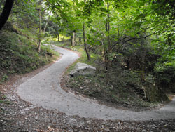 Path to Navegno (480 m) | Loop excursion to Cascata del Cenghen