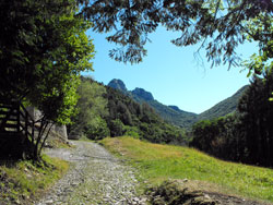 Prim'Alpe (718 m) | From Gajum to the Central Horn of Canzo