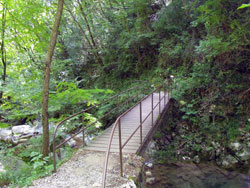 Geological Path (600 m) | From Gajum to the Central Horn of Canzo