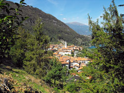 Limonta (340 m) - Oliveto Lario | From Limonta to Belvedere di Makallé