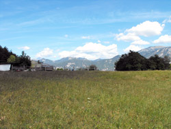 Chevrio (575 m) - Bellagio | From Limonta to Belvedere di Makallé