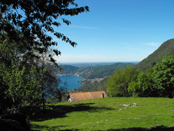 Monte di Liscione (730 m) - Moltrasio | Excursion from Moltrasio to the Bugone lodge