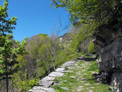 Rifugio Bugone (1110 m) - Moltrasio | Excursion from Moltrasio to the Bugone lodge