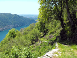 Via ai Monti di Lenno (1085 m) - Moltrasio | Excursion from Moltrasio to the Bugone lodge