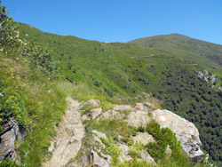 Path to Sant'Amate oratory (1480 m) | Circular hike from Breglia to Monte Grona