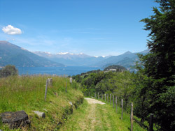 Path n.1 (320 m) - Cagnanica | Excursion from Bellagio to Monte Nuvolone