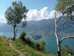 Belvedere del Nuvolone (1050 m) | Excursion from Bellagio to Monte Nuvolone