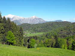 Panorama (810 m) Path n.1A | Excursion from Bellagio to Monte Nuvolone