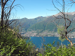 Brogno - Vergonese (365 m) Sentiero n.5 | Excursion from Bellagio to Monte Nuvolone