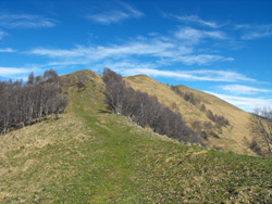 Bocchetta di Pigra (1325 m) | Circular hike from Pigra to Monte Costone