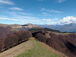 Costone di Pigra (1430 m) | Circular hike from Pigra to Monte Costone