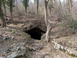 The Boldrino cave (750 m) - Caslino d'Erba | Excursion to the Mushrooms of Rezzago