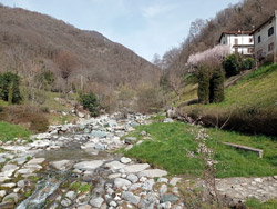 Alpini Park (430 m) - Caslino d'Erba | Excursion to the Mushrooms of Rezzago