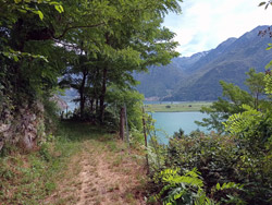 Path to Dascio (245 m) | Excursion from Sorico to San Fedelino