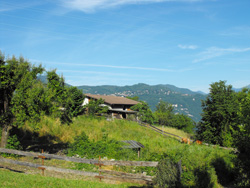 Vignasca (360 m) - Mandello del Lario | From Olcio to Zucco di Sileggio