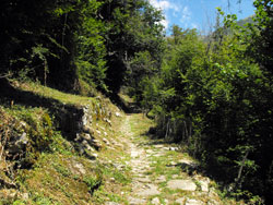 Path to the Abbey (515 m) - Tremezzina | Hike from Lenno to the Abbey of San Benedetto
