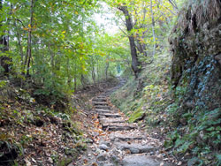 Pathway n.1 (410 m) | Loop hike in Spina Verde Park