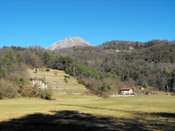 Piamuro (370 m) - Menaggio | Hike from Menaggio to the centuries-old Rogolone oak