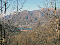 Piano Lake - Val Menaggio (450 m) | Hike from Menaggio to the centuries-old Rogolone oak