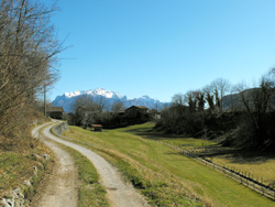 Via Gottro (465 m) - Velzo | Hike from Menaggio to the centuries-old Rogolone oak