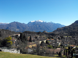 Codogna (450 m) - Grandola ed Uniti | Hike from Menaggio to the centuries-old Rogolone oak