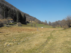 Piana di Crezzo (795 m) - Lasnigo | Excursion from Onno to Mount Megna