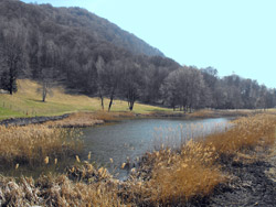 Laghetto di Crezzo (800 m) - Lasnigo | Excursion from Onno to Mount Megna