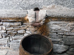 Winepress of Palanzo - Faggeto Lario