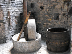 Winepress of Palanzo - Faggeto Lario