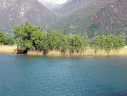 Pian di Spagna - Upper lake Como
