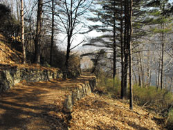 Path n.7 (220 m) - Olgiasca | Excursion in the Piona Peninsula