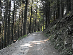 Ridge of the Lariano Triangle - 1st Stage | Via alle Colme (1020 m.)