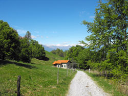 Ridge of the Lariano Triangle - 2nd Stage | Alpe delle Ville - Bellagio
